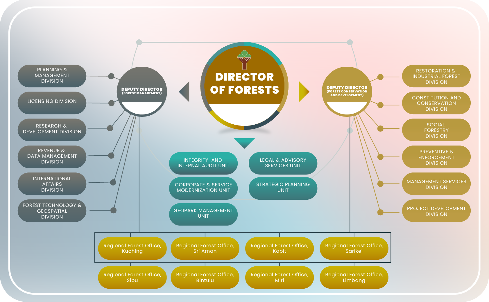 CARTA ORGANISASI JABATAN HUTAN SARAWAK