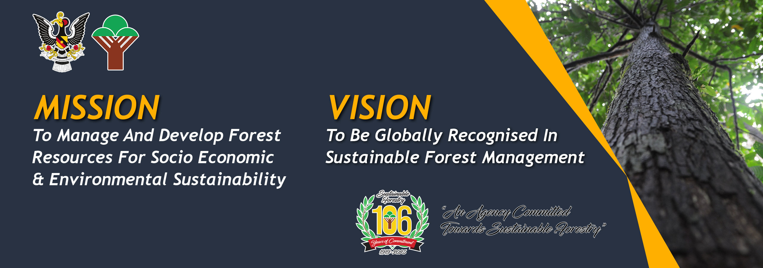 Vision and mission